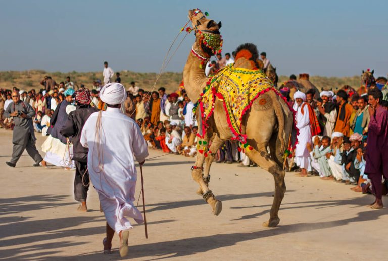 Cholistan Desert Biggest Desert In Sind Pakistan